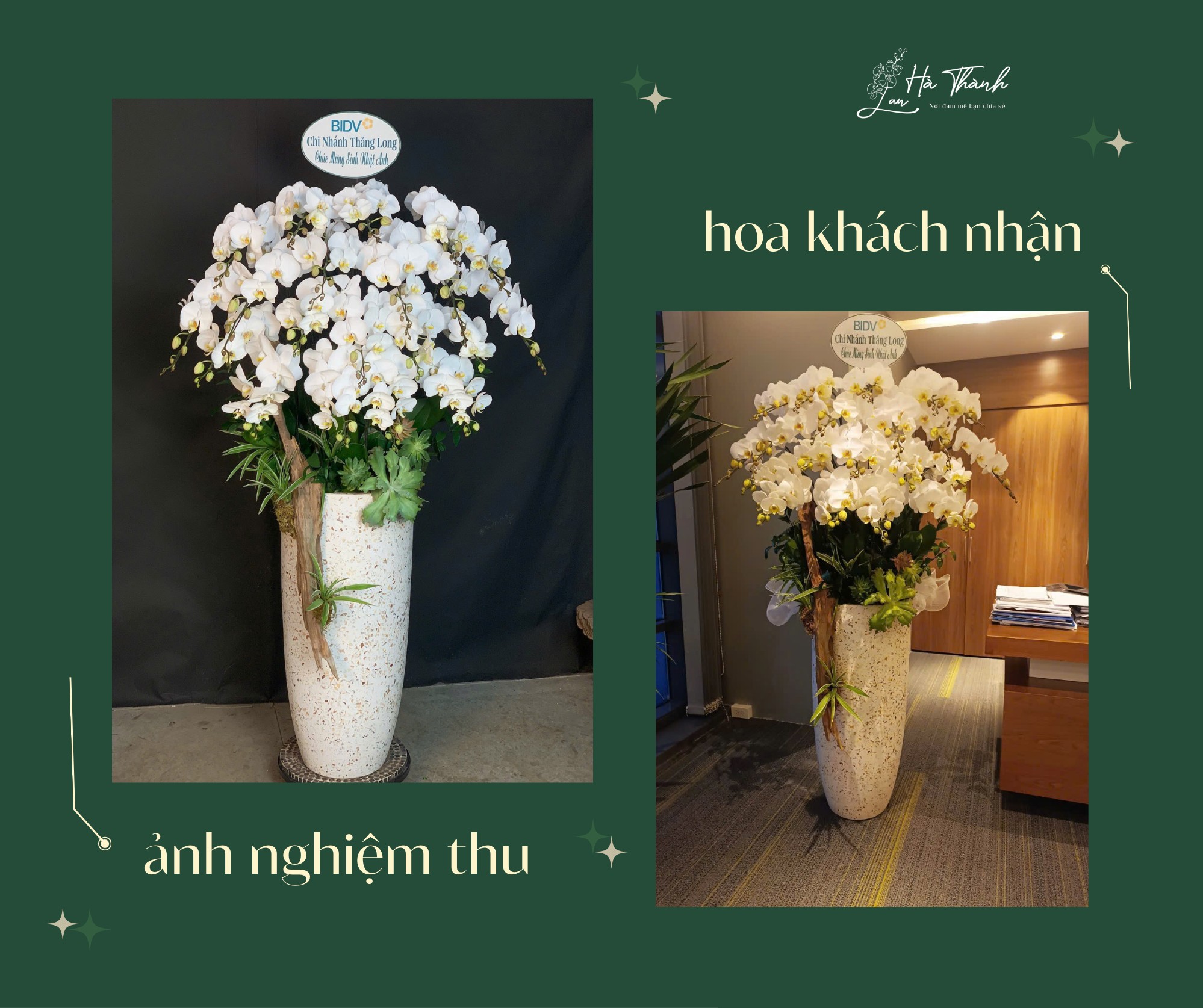 Mẫu Đơn Đỏ